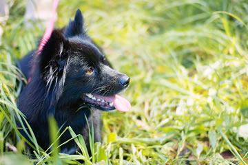 自然治療イメージ